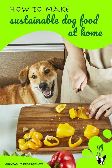 How to make sustainable pet food at home