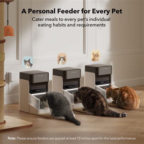 How to train pets with RFID Pet Feeder