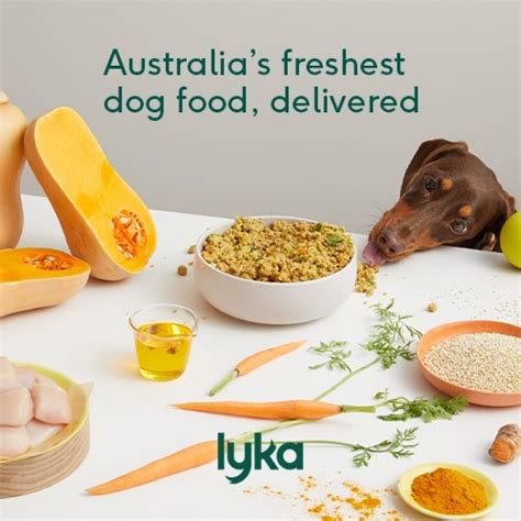 How to use Lyka pet food for pet security