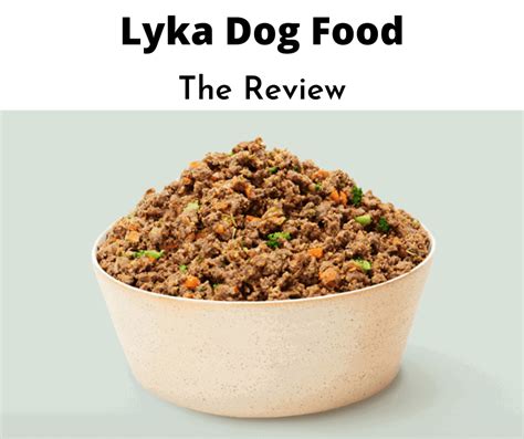 How to use Lyka pet food for pet security in 2025