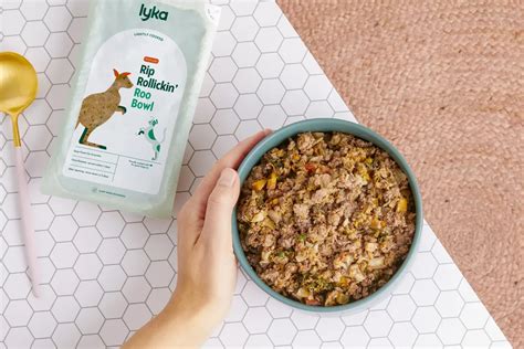 How to use Lyka pet food for pet wellness