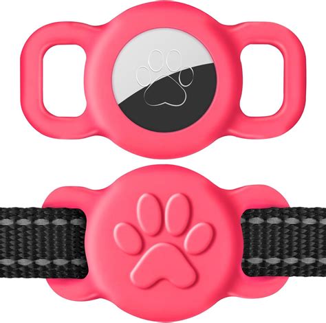 How to use an Airtag collar for pet management