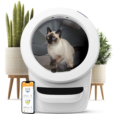 How to use cloud computing for pet care with Litter-Robot