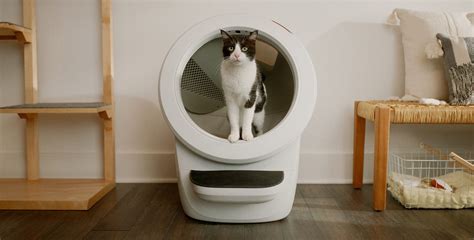 How to use data for pet health with Litter-Robot