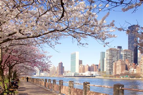 Howard Axel Four Freedoms Park: A Peaceful Oasis in the Heart of the Empire State Building