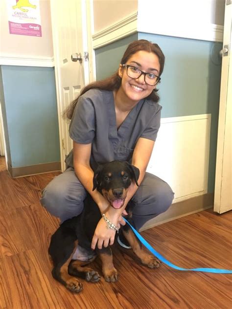 Howard Beach Animal Clinic: Your Trusted Companion for Pet Care