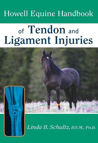 Howell Equine Handbook of Tendon and Ligament Injuries Doc