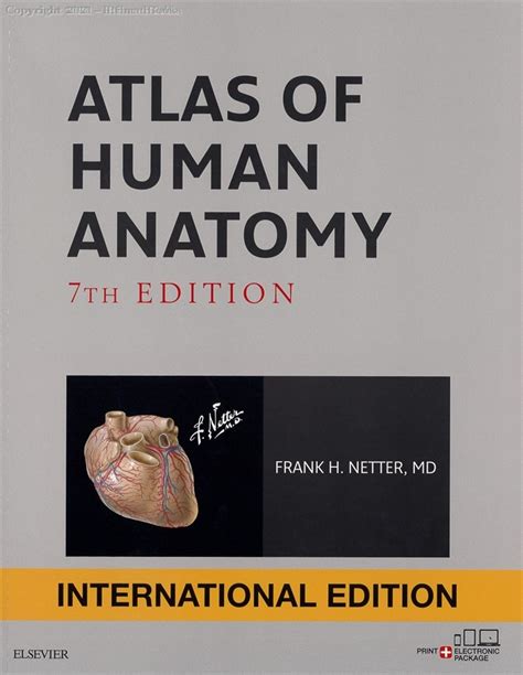 Human Anatomy 7th Edition Epub