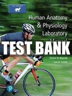 Human Anatomy Physiology I Lab Manual Answers Doc