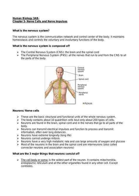 Human Biological Science 3ab Questions And Answers Reader