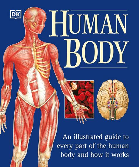 Human Body An Illustrated Guide to Every Part of the Human Body and How It Works Reader