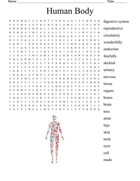 Human Body Puzzle Word Search Answers Kindle Editon