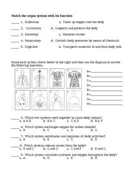 Human Body System Review Packet Answers Epub