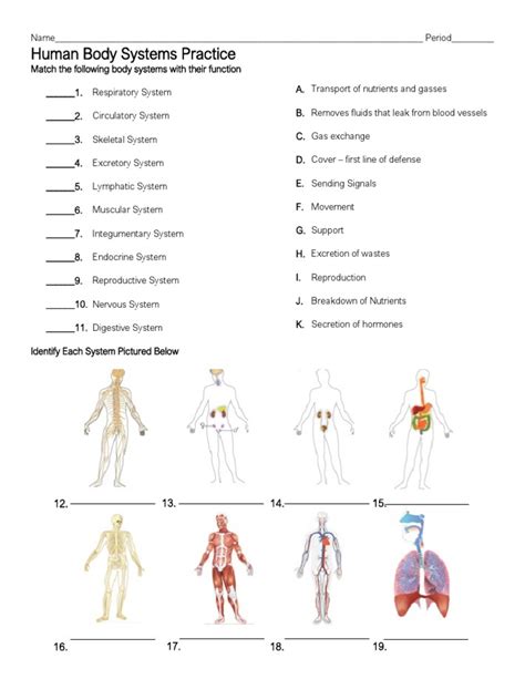 Human Body Systems Answers Epub