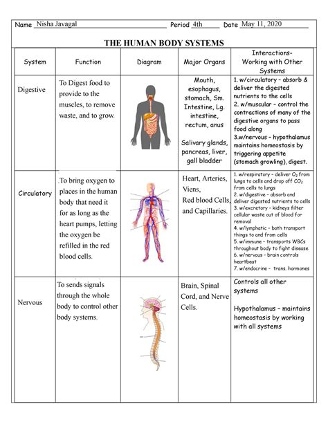 Human Body Systems Chart Answers Epub