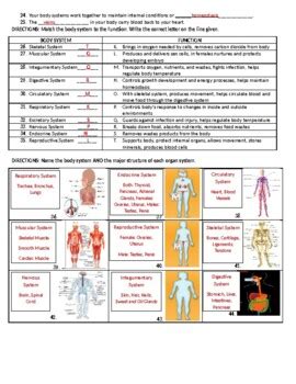 Human Body Systems Review Sheet Answer Key Reader