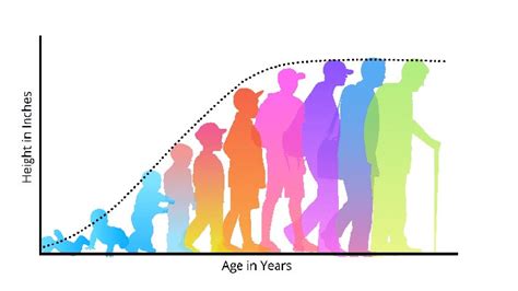 Human Development Across the Lifespan Doc