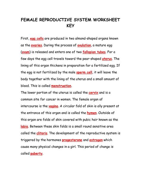 Human Digestive System Answers Biology If8765 Kindle Editon