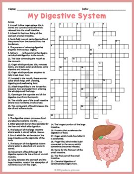 Human Digestive System Crossword Answer Sheet If8765 PDF