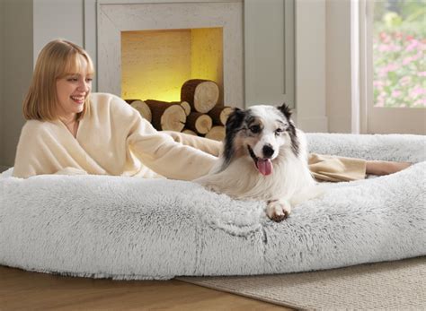 Human Dog Bed: Ultimate Pet-Inspired Art for 2025