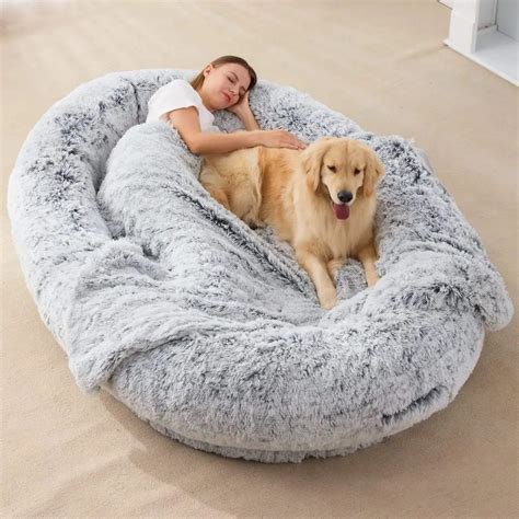 Human Dog Bed 2025: The Ultimate Comfort for Pet Caregivers