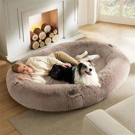 Human Dog Bed VS Pet Investment: The Ultimate 2025 Decision