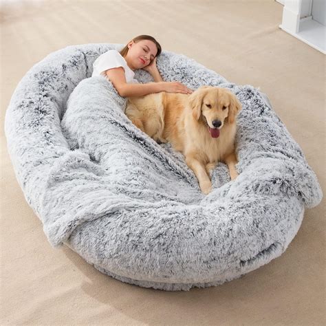 Human Dog Bed and pet value proposition