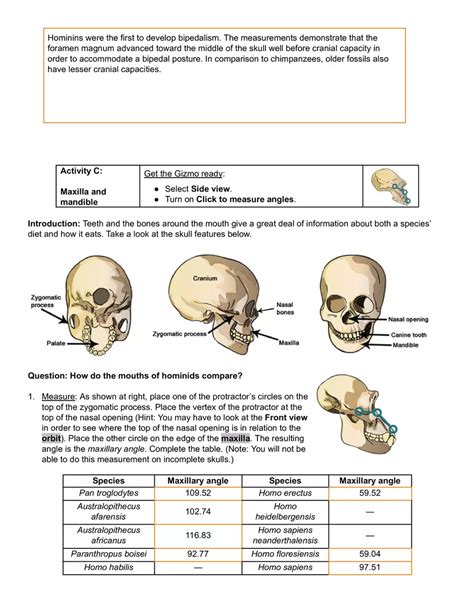 Human Evolution Gizmo Answers Reader