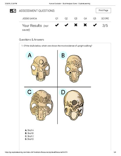 Human Evolution Skull Analysis Answers Reader