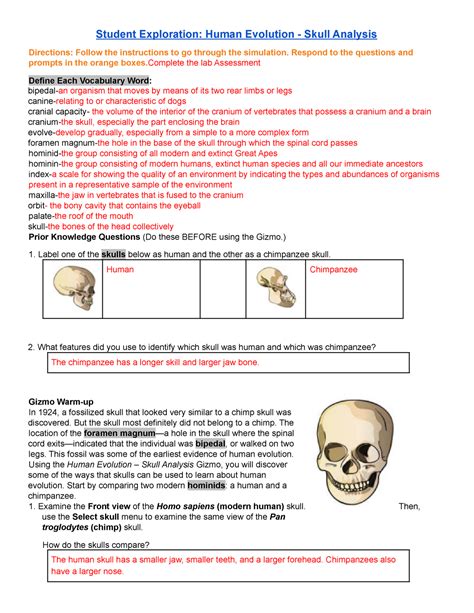 Human Evolution Skull Analysis Gizmo Answer Key Epub