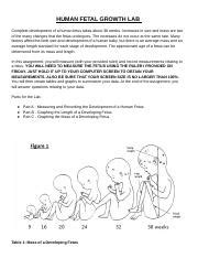 Human Fetal Growth Lab Analysis Answers Epub