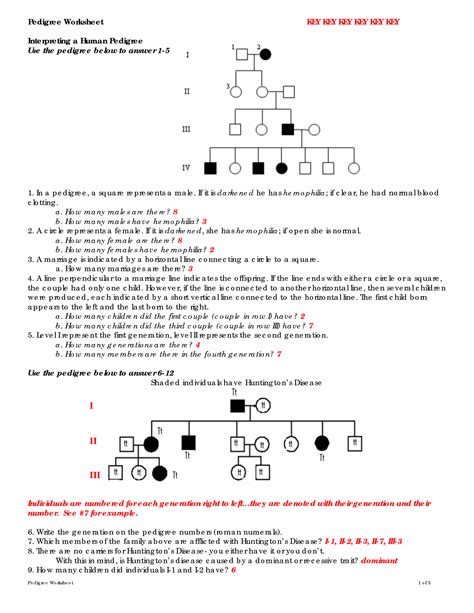 Human Genetics 12 2 Answers PDF