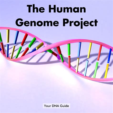 Human Genome Project Answers Epub