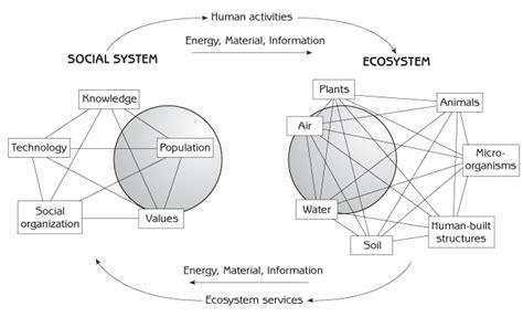 Human Geography vs. Human Ecology: Exploring the Interplay of People and Environments