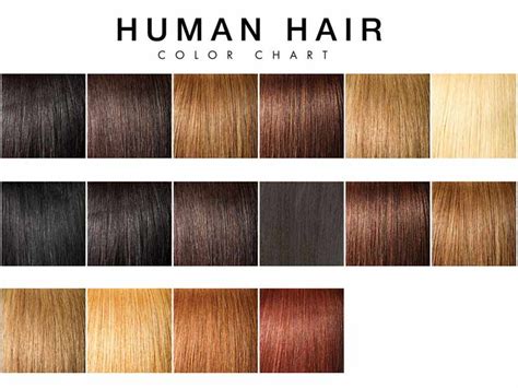 Human Hair Color: A Spectrum of Shades