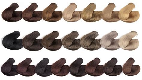 Human Hair Color: Unraveling the Spectrum of Shades