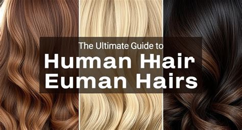 Human Hair Extensions Hair Extensions: The Ultimate Guide