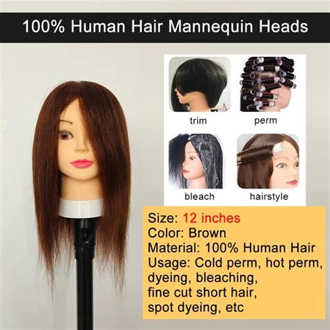 Human Hair Mannequin Head: Your Complete Guide to 5 Amazing Applications