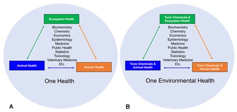 Human Health and the Environment A Turn of the Century Perspective 1 Ed. 99 Doc