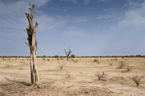 Human Impact on Desert Environment PDF
