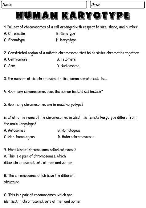 Human Karyotype Lab Answers PDF