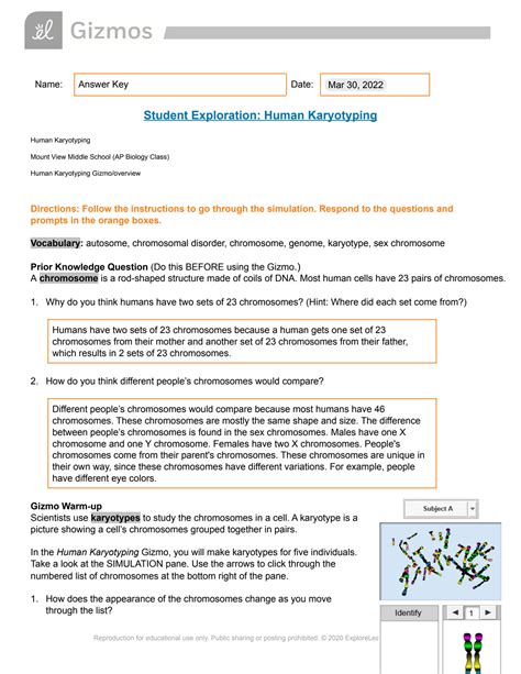 Human Karyotyping Answer Key Doc