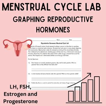 Human Menstrual Cycle Lab 31 Answers Kindle Editon