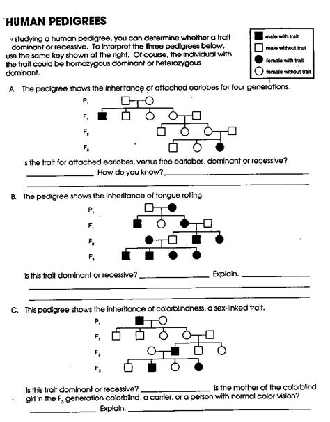 Human Pedigrees Answer Key PDF