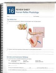 Human Reflex Physiology Lab Answers Exercise 23 PDF