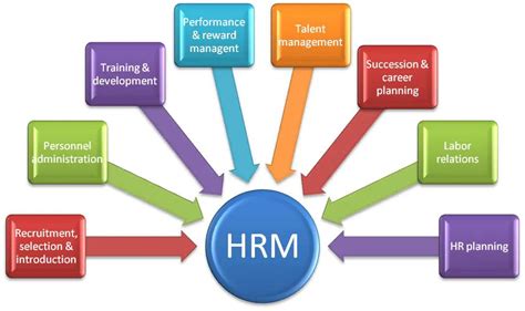 Human Resource Management: Harnessing Psychology for Organizational Success