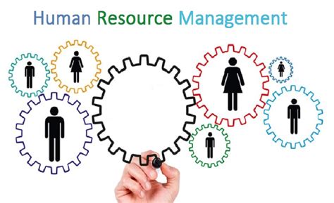 Human Resource Management A Managerial Perspective Reader