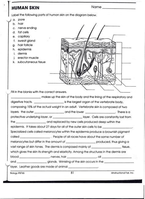 Human Skin Answer Key Doc