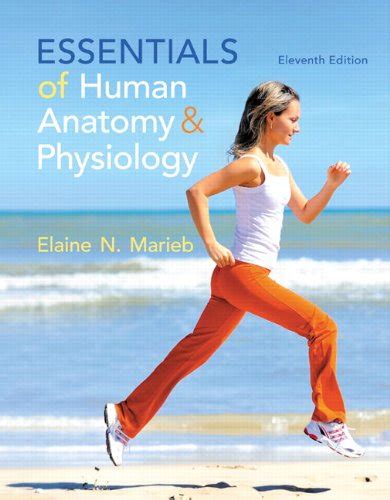 Human anatomy and physiology marieb 11th edition Ebook Reader