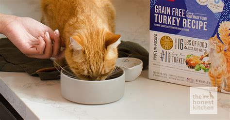 Human-Grade Pet Food for Cats: The Ultimate Guide for 2025